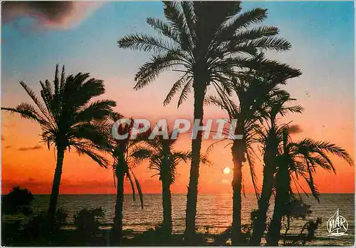 Cartes postales moderne La Mediterranee Coucher de Soleil