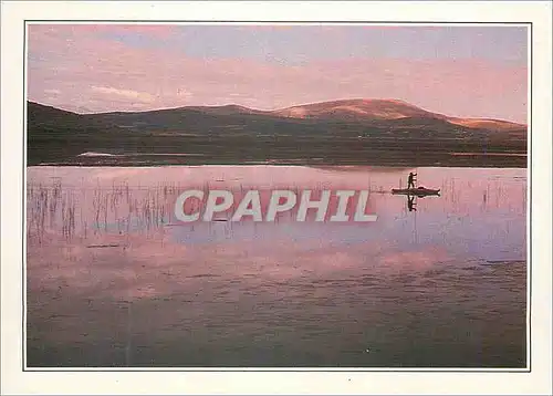 Cartes postales moderne Peru L'Altiplano Le Lac Titicaca