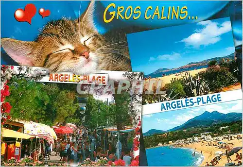 Cartes postales moderne Angers PLages (Pyrenees Orientales) La Cote d'Azur