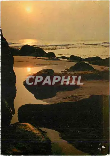 Cartes postales moderne Bretagne en Couleurs Maree Basse au soleil Couchant