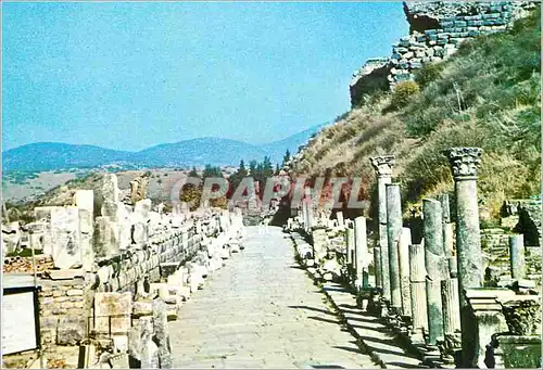 Cartes postales moderne Efes Turkiye Ephese Voie de Marbre