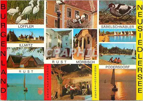 Cartes postales moderne Burgenland Neusiedlersee Lofler Illmitz Rust Morbisch