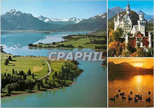 Cartes postales moderne Forggensee im Ostallgau mit Allgauer und Tiroler Alpen