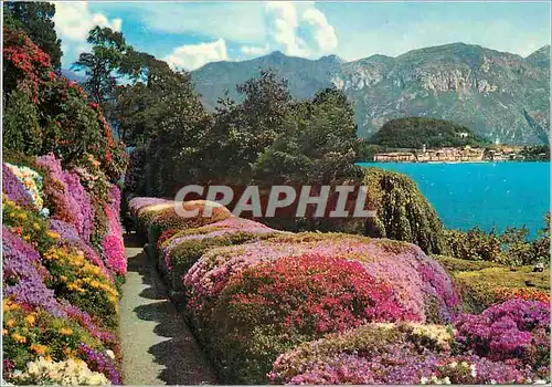 Cartes postales moderne Lac de Come Villa Carlotta Azalees en Fleur