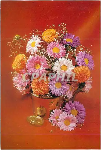 Cartes postales moderne Amitie des Aveugles de Lyon et du Sud Est