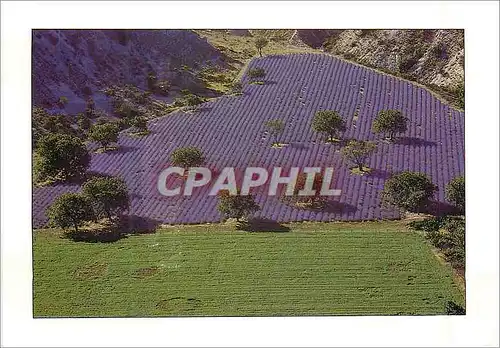 Cartes postales moderne Mediterranee