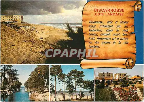 Cartes postales moderne Souvenir de Biscarrosse Cote Landaise