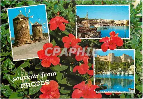 Cartes postales moderne Souvenir from Rhodes Moulin a vent