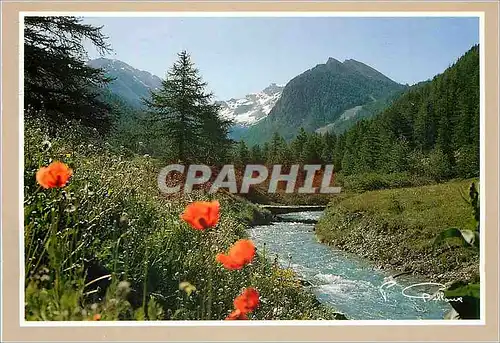 Cartes postales moderne Regard sur la Montagne Printemps dans la Vallee