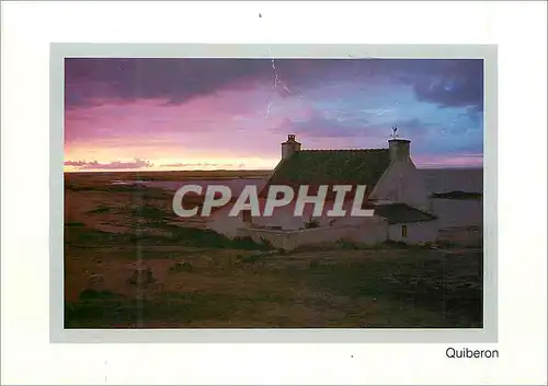 Cartes postales moderne Quiberon le Morbihan