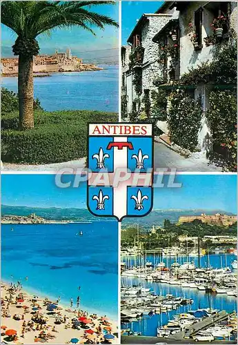 Cartes postales moderne Souvenir d'Antibes (A M) Cote d'Azur Bateaux