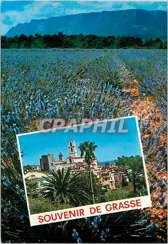 Moderne Karte Grasse (A M) Cote d'Azur
