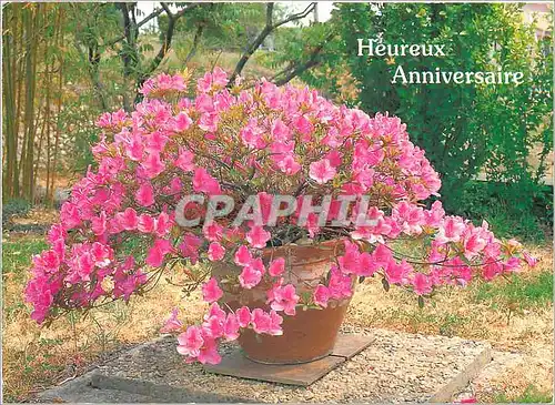 Cartes postales moderne Heureux Anniversaire