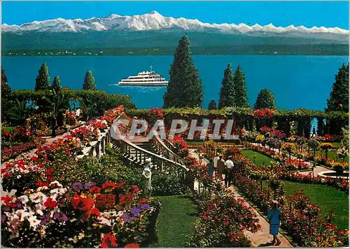 Moderne Karte Insel Mainau im Bodensee Rosengarten Bateau