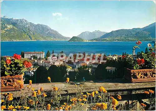 Cartes postales moderne Lac de Como Menaggio