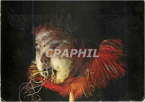 Cartes postales moderne la Moineaudiere a Xonrupt Reduction de Tete Humaine par les Jivaros