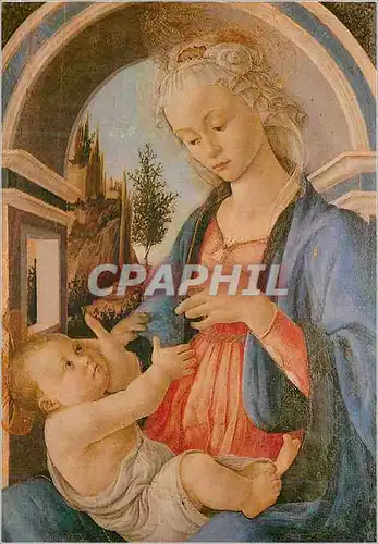 Cartes postales moderne Avignon Patit Palais Sandro Botticelli la Vierge a l'Enfant