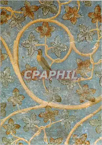 Cartes postales moderne Avignon Palais des Papes Chambre du Pape Detail des Peintures Murales