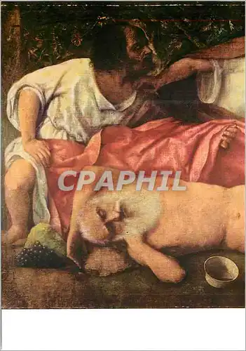 Cartes postales moderne Besancon Musee des Beaux Arts Giovani Bellini (1426 1516) l'Ivresse de Noe (Detail)