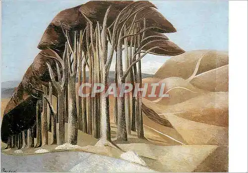 Cartes postales moderne Aberdeen Art Gallery and Museums Paul Nash (1889 1940) Bois dans la Lande