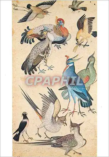 Cartes postales moderne Paris Musee Guimet Dix Oiseaux Miniature Signee Miskina Inde Ecole Moghole Debut du XVIIe siecle