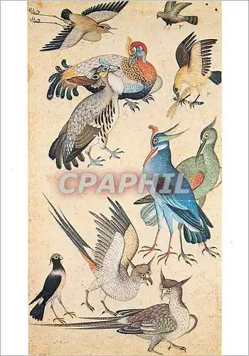 Moderne Karte Paris Musee Guimet Dix Oiseaux Miniature Signee Miskina Inde Ecole Moghole Debut du XVIIe siecle