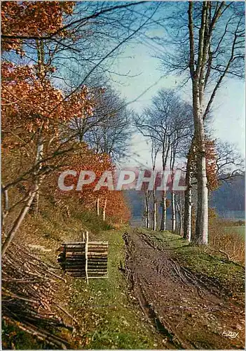 Moderne Karte Lyons la Foret (Eure) la Normandie Pittoresque Chemin D'Automne