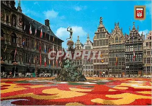 Cartes postales moderne Antwerpen Grand'Place avec Tapis de Fleurs