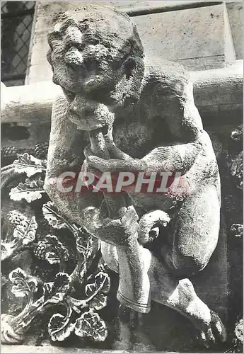 Cartes postales moderne Eglise Notre Dame de Dijon Facade Gargouilles Realisees de 1866 a 1881 par le Sculpteur Lagoule