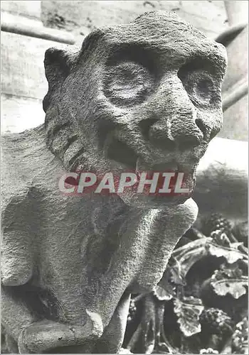 Cartes postales moderne Eglise Notre Dame de Dijon Facade Gargouilles Realisees de 1866 a 1881 par le Sculpteur Lagoule