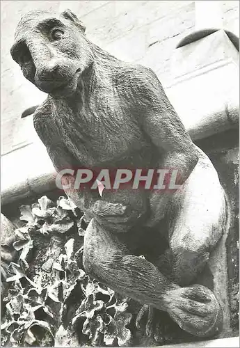 Cartes postales moderne Eglise Notre Dame de Dijon Facade Gargouilles Realisees de 1866 a 1881 par le Sculpteur Lagoule