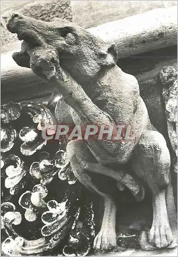 Cartes postales moderne Eglise Notre Dame de Dijon Facade Gargouilles Realisees de 1866 a 1881 par le Sculpteur Lagoule