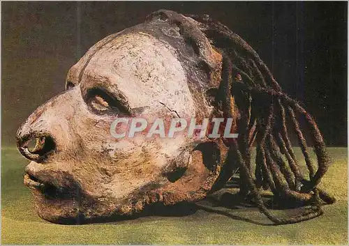 Cartes postales moderne Musee de l'Homme Palais de chaillot Paris Nouvelle Guinee Sepik Oriental Kanigara Crane Surmodel