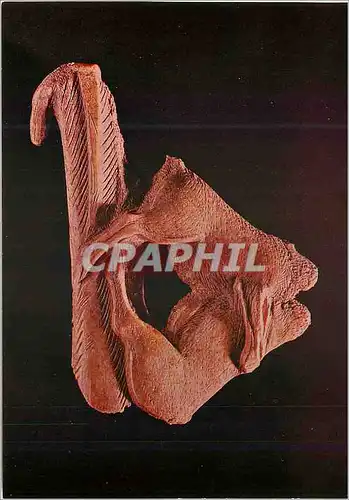 Cartes postales moderne Grotte des Trois Freres (Ariege) Coll Musee de l'Homme Propulseur en Bois de Renne figurant deux