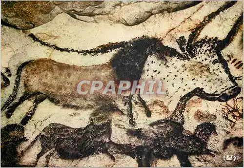 Moderne Karte Grotte de Lascaux Le Perigord Touristique Art Prehistorique Grande Salle Paroi Gauche Premier Ta