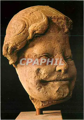 Cartes postales moderne Reims Musee du Tau Tete de provence Inconnue