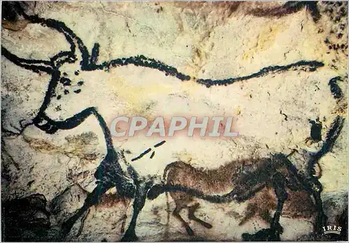Cartes postales moderne Grotte de Lascaux Le Perigord Touristique Art Prehistorique Grande Salle Paroi Gauche Premier Ta