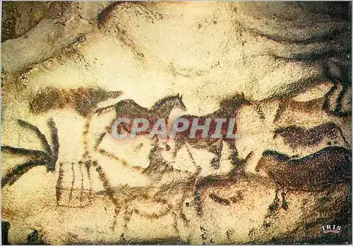 Cartes postales moderne Grotte de Lascaux Le Perigord Touristique Art Prehistorique Le devirticule Axial Paroi Droite Bo