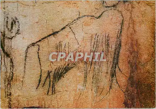 Moderne Karte Cabretets (Lot) Grotte Prehistorique du Pech Merle Chapelle des Mammouths (detail) Jeune Mammout