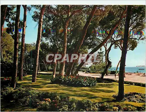 Cartes postales moderne Juan les Pins Cote d'Azur La Pinede