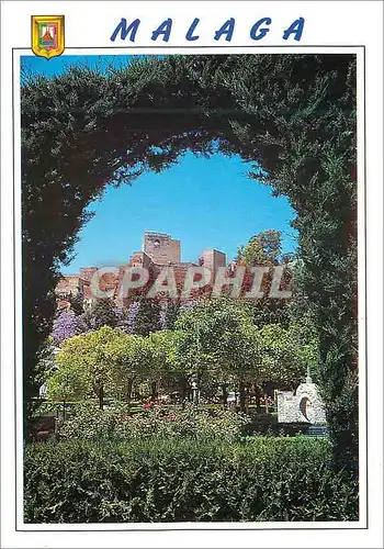Cartes postales moderne Malaga Costa del Sol Jardins de l'Hotel de Ville au fond La Alcazaba
