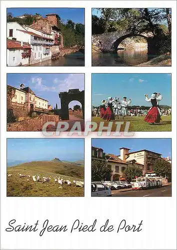 Cartes postales moderne Saint Jean Pied de Port Pays Basque Vieilles Maisons sur la Nive La Citadelle Troupeau de Brebis