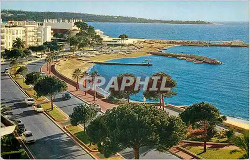 Cartes postales moderne Cannes La Promenade de la Croisette Dans le fond Le Casino du Palm Beach et l'Ile Sainte Marguer