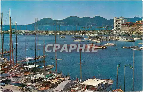 Cartes postales moderne Cannes Le Port de Plaisance L'Esterel Bateaux