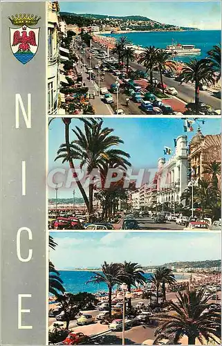 Cartes postales moderne Nice La Cote d'Azur La Promenade des Anglais et le Mont Boron