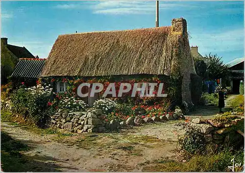 Cartes postales moderne La Bretagne en Couleurs Chaumiere Bretonne fleurie