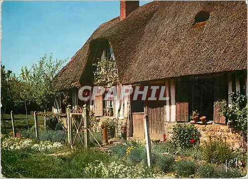 Cartes postales moderne En Vallee d'Auge La Luxuriante Normandie Couleurs et Lumiere de France Maison Normande