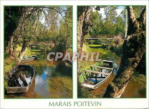 Cartes postales moderne Marais Poitevin Images de France Plate au Bord de l'Ecours dans le Vert Paradis aquatique de l V