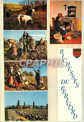 Cartes postales moderne Quelques Richesses du Perigord Folklore Cochon Porc