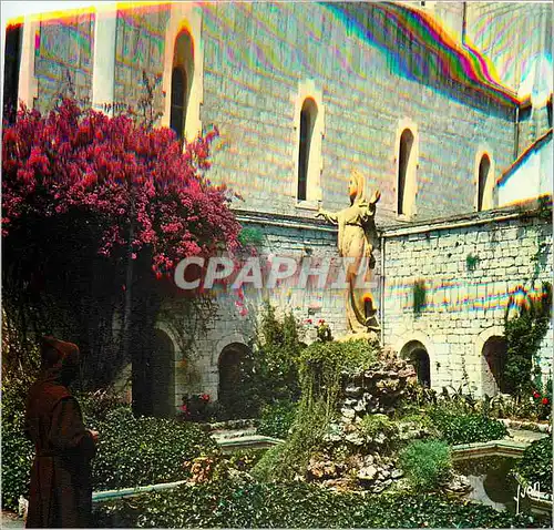 Cartes postales moderne Cannes (Alpes Maritimes) Ile  Saint Honorat Abbaye de Notre Dame de Lerins preau du Vieux Cloitr